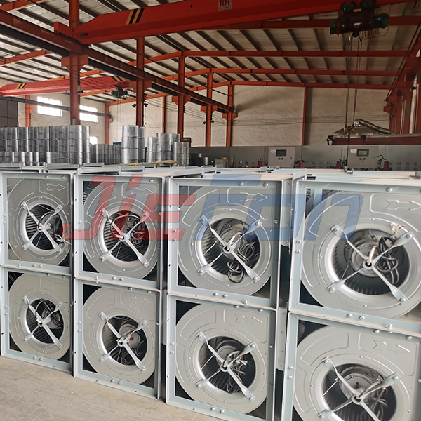 1686789480235924.jpg 1256.jpg